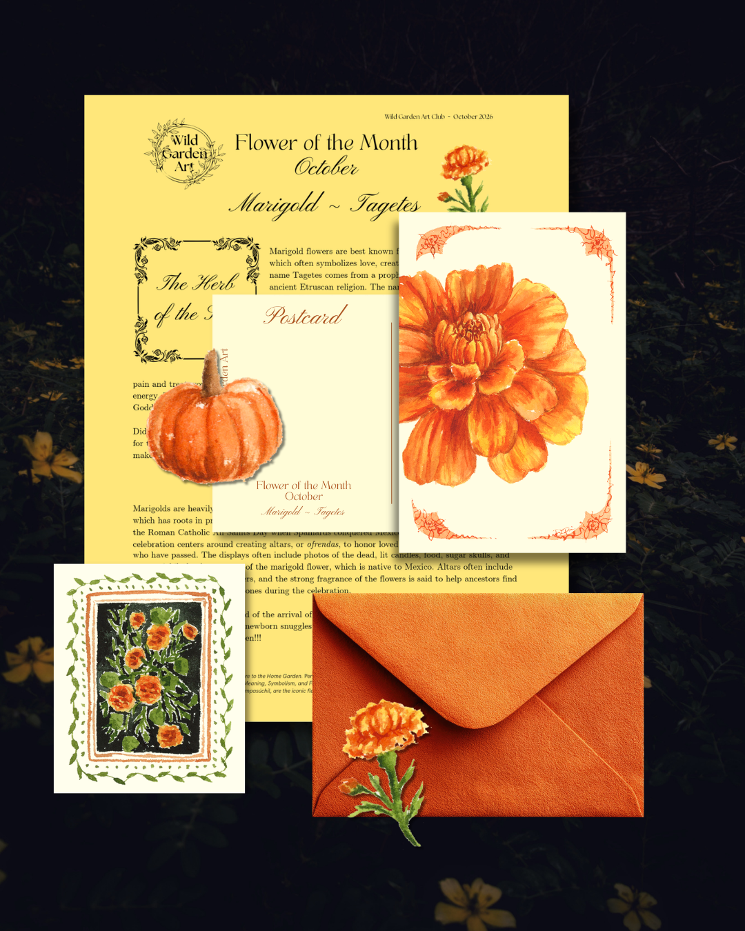 Snail Mail Catch-up: October 2026