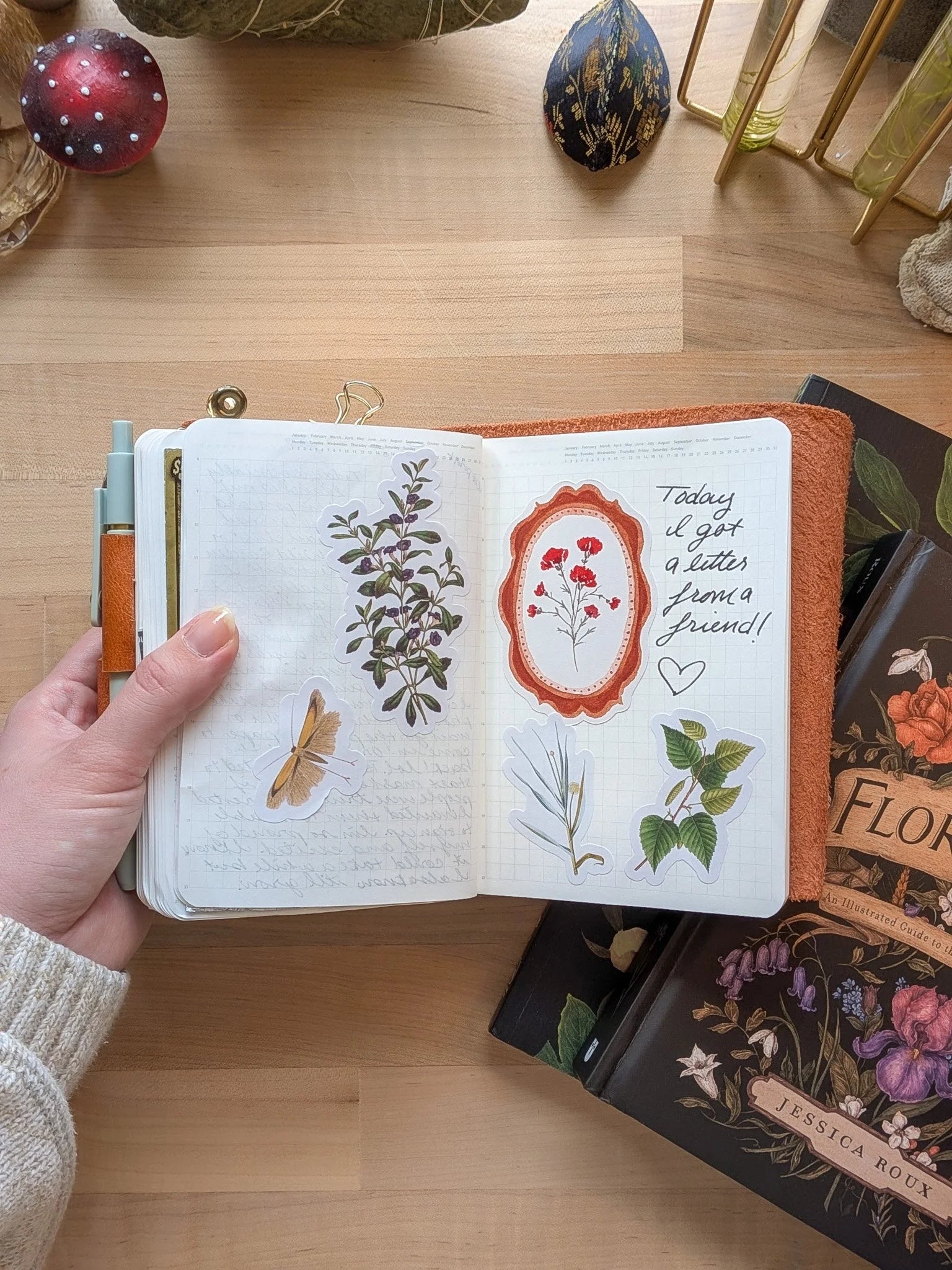 The Wild Garden Art Club - Snail Mail Subscription