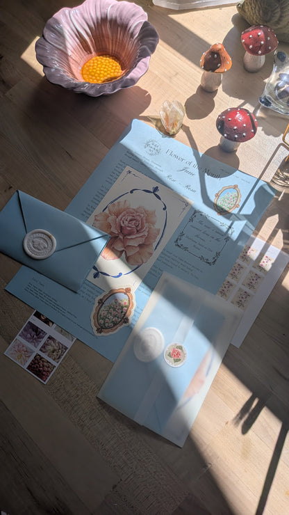 Snail Mail Catch-up: June 2026